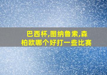 巴西杯,图纳鲁索,森柏欧哪个好打一些比赛