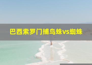 巴西索罗门捕鸟蛛vs蜘蛛