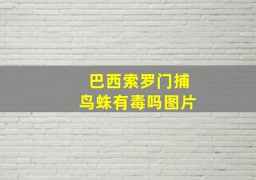 巴西索罗门捕鸟蛛有毒吗图片