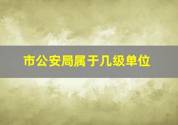 市公安局属于几级单位