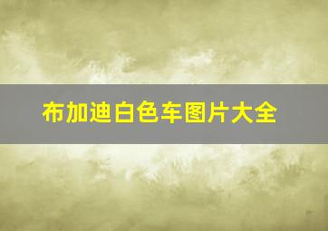 布加迪白色车图片大全