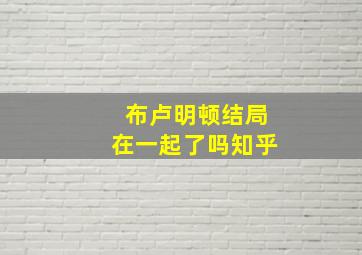 布卢明顿结局在一起了吗知乎