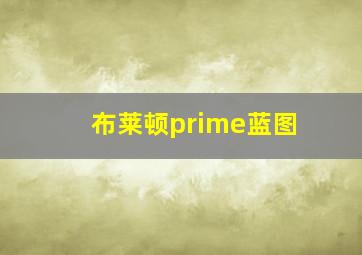 布莱顿prime蓝图