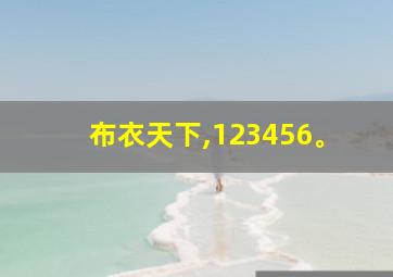 布衣天下,123456。