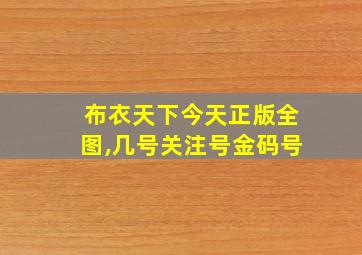 布衣天下今天正版全图,几号关注号金码号