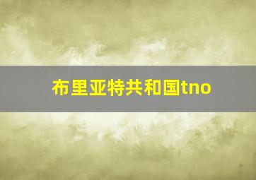 布里亚特共和国tno