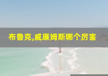 布鲁克,威廉姆斯哪个厉害