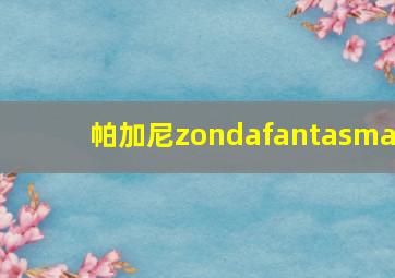 帕加尼zondafantasma