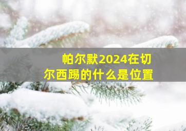 帕尔默2024在切尔西踢的什么是位置