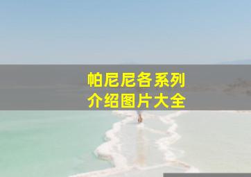 帕尼尼各系列介绍图片大全