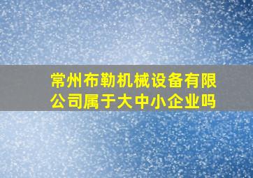 常州布勒机械设备有限公司属于大中小企业吗