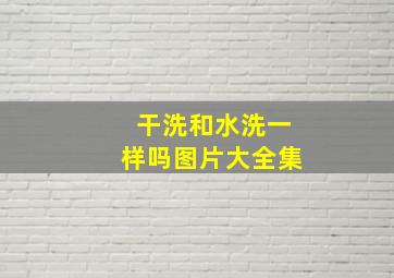 干洗和水洗一样吗图片大全集