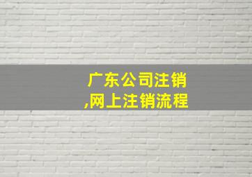 广东公司注销,网上注销流程