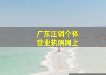 广东注销个体营业执照网上