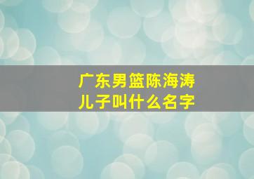 广东男篮陈海涛儿子叫什么名字