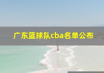 广东篮球队cba名单公布