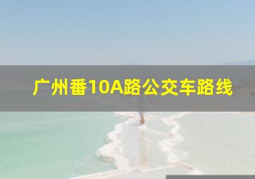 广州番10A路公交车路线