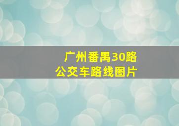 广州番禺30路公交车路线图片