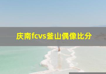 庆南fcvs釜山偶像比分