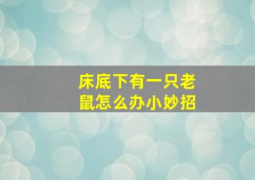 床底下有一只老鼠怎么办小妙招