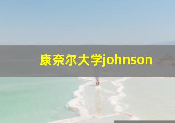 康奈尔大学johnson