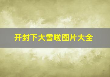 开封下大雪啦图片大全