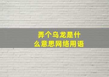 弄个乌龙是什么意思网络用语