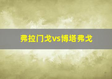 弗拉门戈vs博塔弗戈