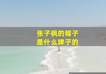 张子枫的帽子是什么牌子的