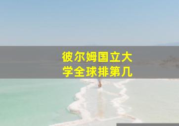 彼尔姆国立大学全球排第几