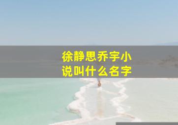 徐静思乔宇小说叫什么名字