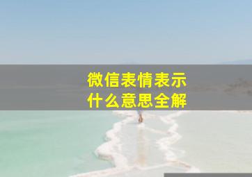 微信表情表示什么意思全解