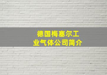 德国梅塞尔工业气体公司简介