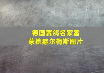 德国赛鸽名家雷蒙德赫尔梅斯图片