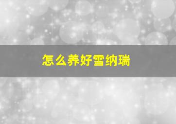 怎么养好雪纳瑞