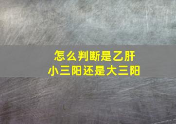 怎么判断是乙肝小三阳还是大三阳