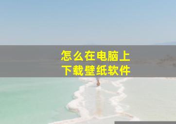 怎么在电脑上下载壁纸软件