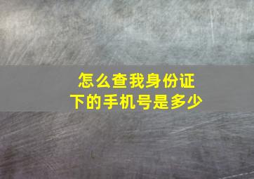 怎么查我身份证下的手机号是多少