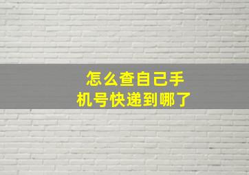 怎么查自己手机号快递到哪了