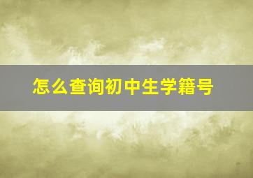 怎么查询初中生学籍号