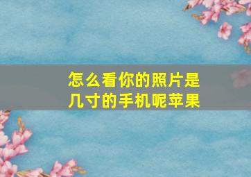 怎么看你的照片是几寸的手机呢苹果