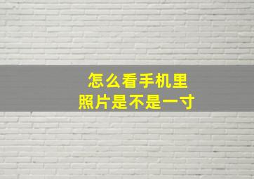 怎么看手机里照片是不是一寸