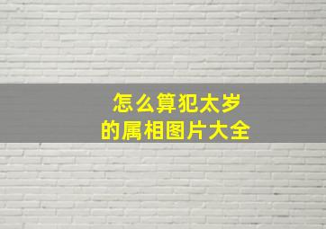 怎么算犯太岁的属相图片大全