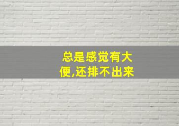 总是感觉有大便,还排不出来