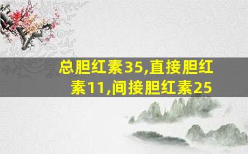 总胆红素35,直接胆红素11,间接胆红素25