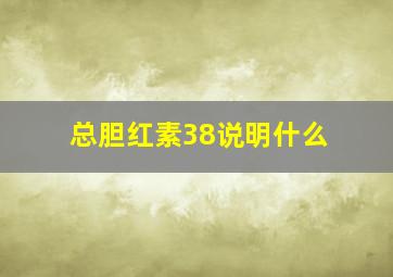 总胆红素38说明什么