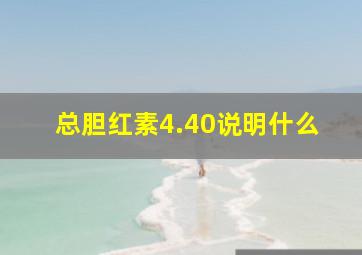 总胆红素4.40说明什么