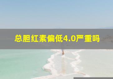 总胆红素偏低4.0严重吗