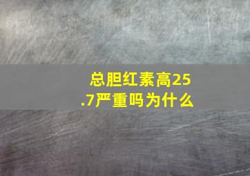 总胆红素高25.7严重吗为什么