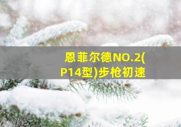 恩菲尔德NO.2(P14型)步枪初速